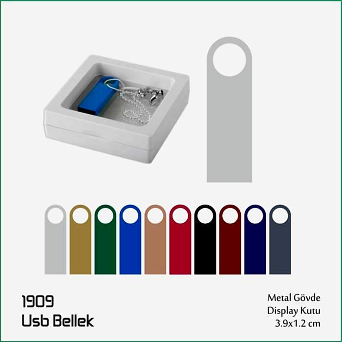 1909 USB Bellek