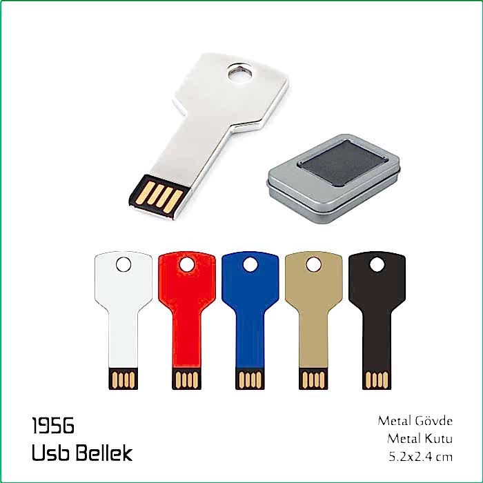 1956 USB Bellek