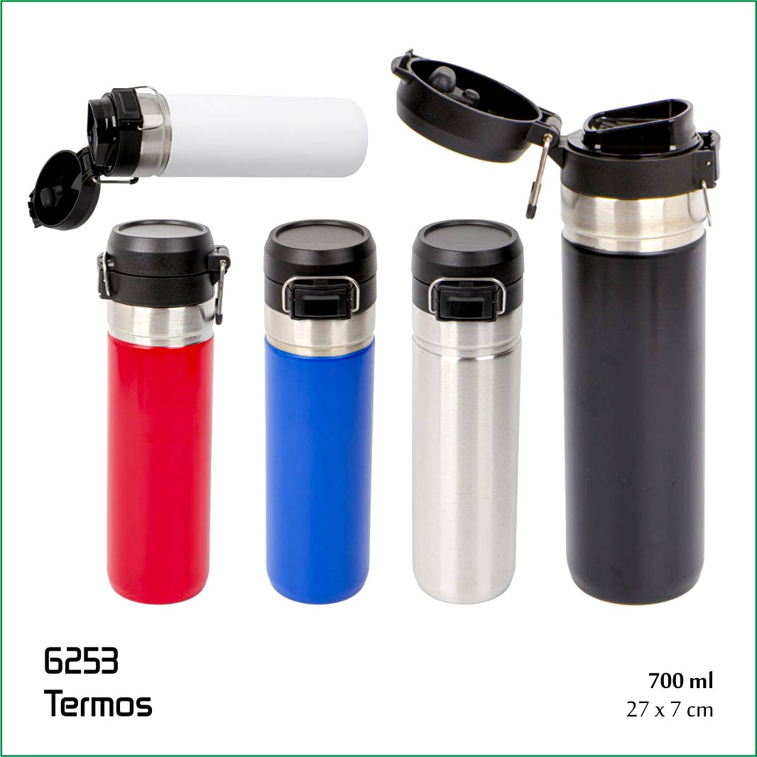 6253 Termos